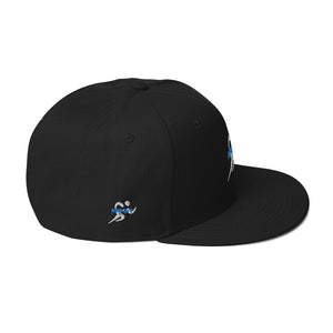 NL 3 Snapback Hat